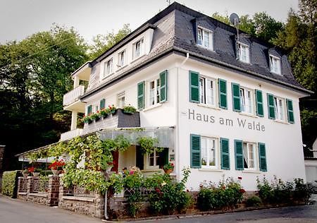 Pension "Haus Am Walde" Brodenbach, Mosel Ngoại thất bức ảnh