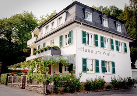 Pension "Haus Am Walde" Brodenbach, Mosel Ngoại thất bức ảnh