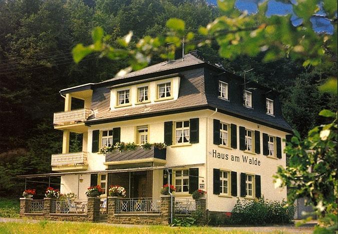 Pension "Haus Am Walde" Brodenbach, Mosel Ngoại thất bức ảnh