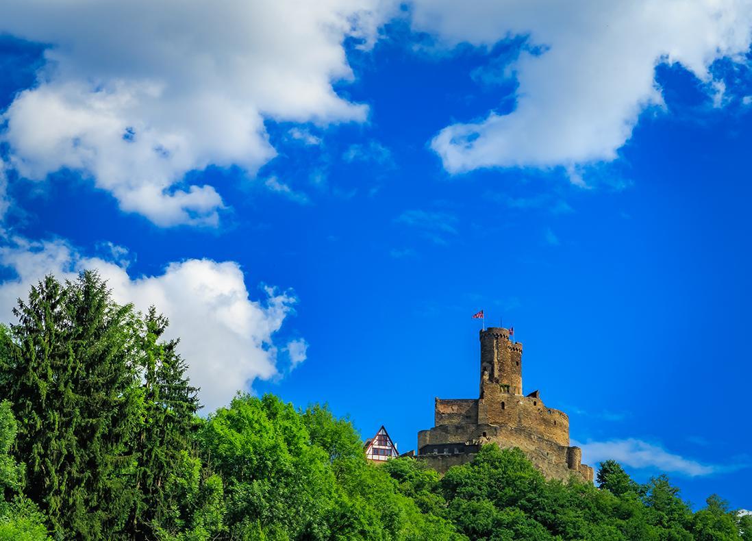 Pension "Haus Am Walde" Brodenbach, Mosel Ngoại thất bức ảnh