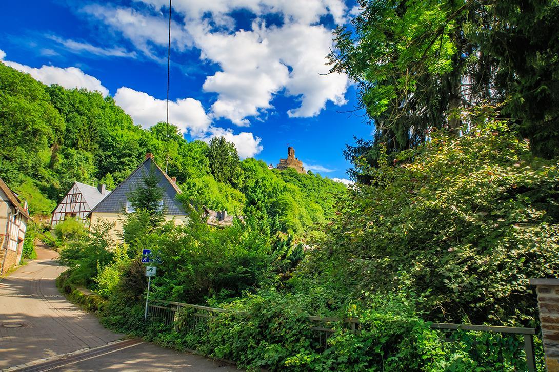 Pension "Haus Am Walde" Brodenbach, Mosel Ngoại thất bức ảnh