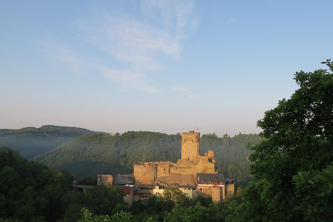 Pension "Haus Am Walde" Brodenbach, Mosel Ngoại thất bức ảnh